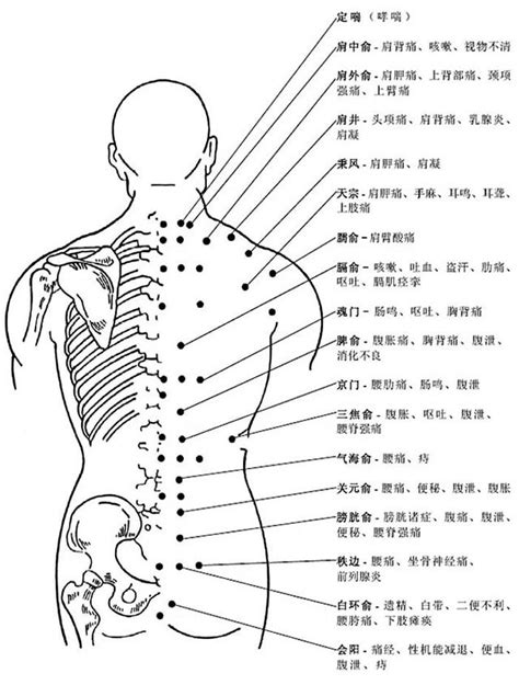 背後穴位圖|最全經絡高清動圖，所有穴位都有！再也不怕找不到穴。